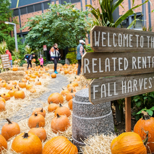 Our annual Fall Harvest Festival with pumpkin patch, live music, food, beer & wine, photobooth, and vendors