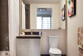 Tri-view medicine cabinets in bathrooms offer plenty of storage