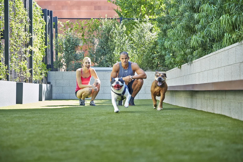 The Emerson Los Angeles Amenities