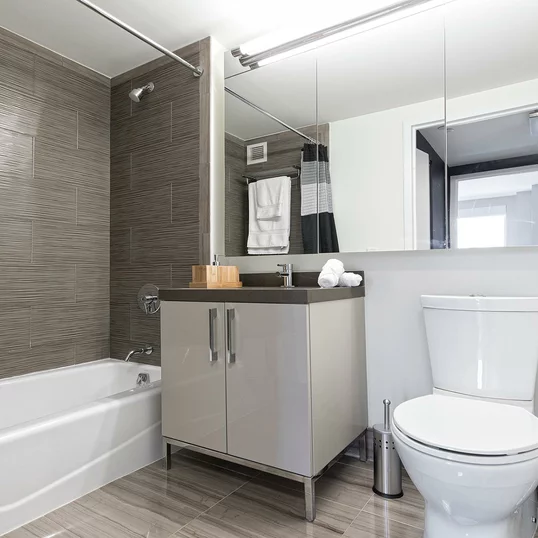 Tri-view medicine cabinets in bathrooms offer plenty of storage