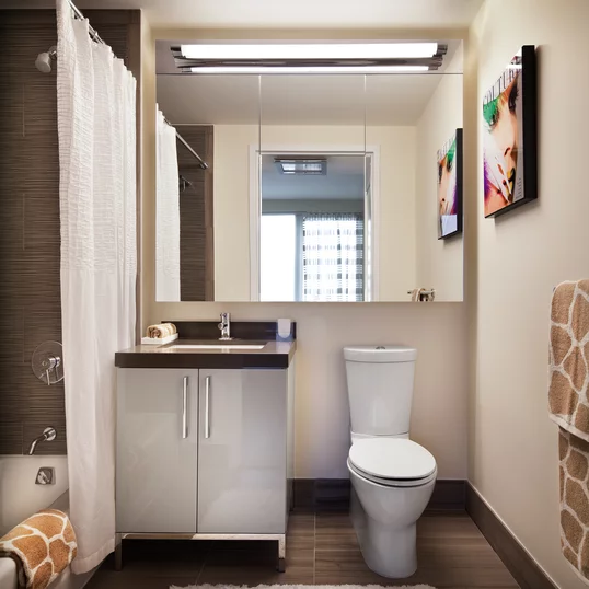 Tri-view medicine cabinets in bathrooms offer plenty of storage